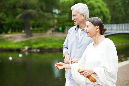 Senior couple with fresh buns feeding water birds in public park during walk