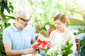 Mature wife opening giftbox with surprise from her husband by served table during romantic dinner