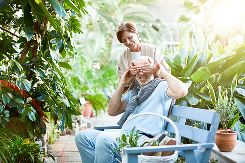 Playful senior woman covering eyes of her husband by hands while both having rest in orangery with green plants