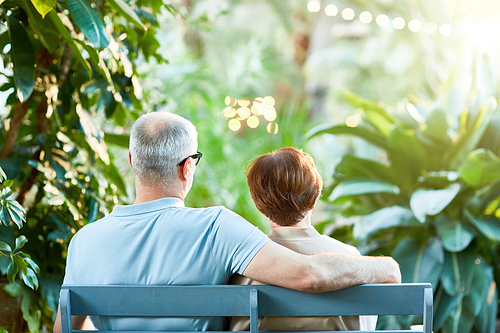 Rear view of affectionate senior couple sitting on bench in the garden or park at leisure