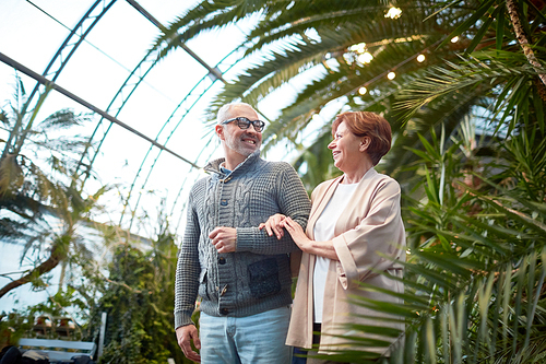 Cheerful senior man and woman having talk while walking among green plants and foliage in the garden