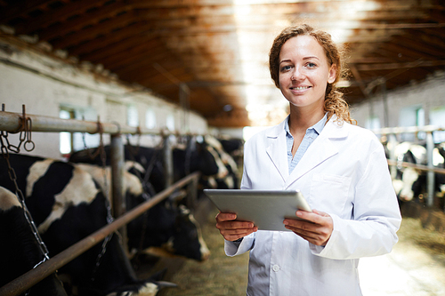Waist up portrait of cheerful female veterinarian smiling  while using digital tablet standing in cowshed of modern dairy farm, copy space