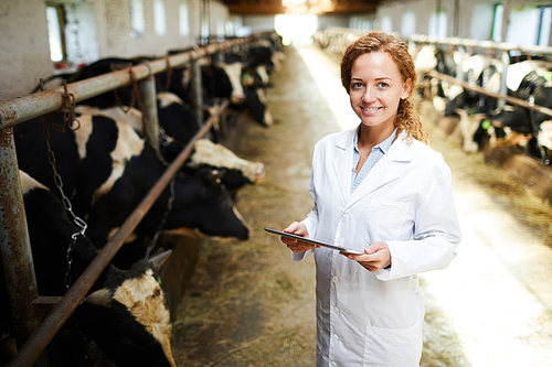 Portrait of cheerful female veterinarian smiling  while using digital tablet standing in cowshed of modern dairy farm, copy space