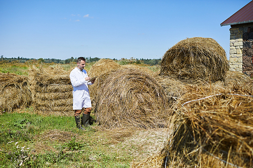 Young farmer with touchpad standing by hay stack and searching in the net for online data