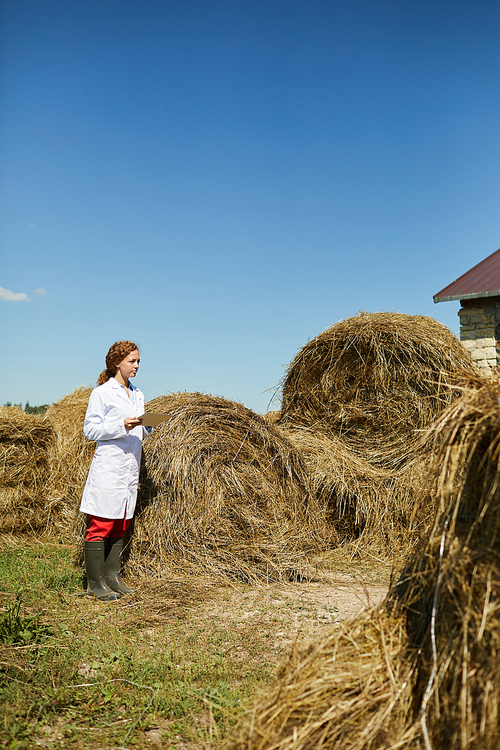 Young woman in whitecoat standing by stack of hay while browsing in the net