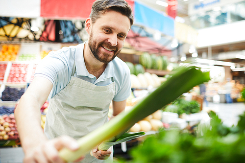Cheerful handsome male grocer in apron putting leeks on shelf while placing new supply of products in farmers market