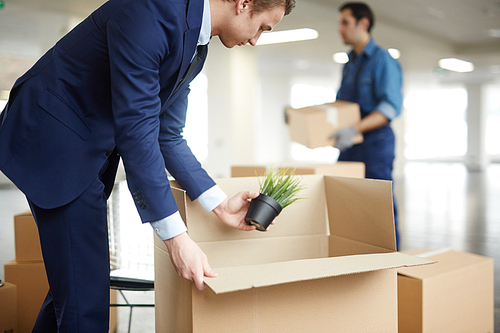 Young businessman taking small flowerpot with green plant out of box while delivery man working on background