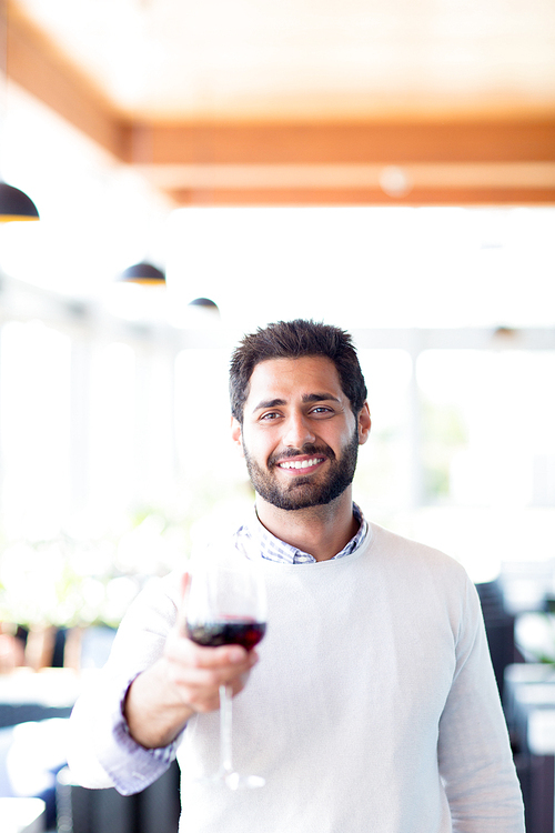 Young man looking at you with smile and making toast with glass of red wine