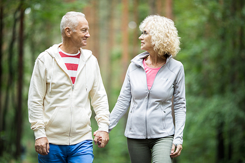 Active senior spouses in sportswear holding by hands while walking in park or forest