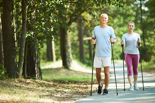 Active seniors trekking down road in park while moving among trees on sunny day