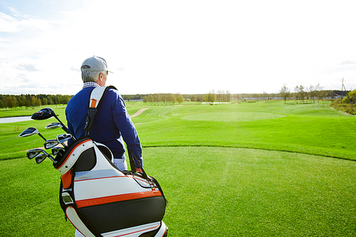 Rear view of senior man in casualwear carrying golf clubs while moving along green field