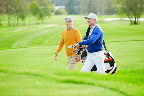 Two aged buddies having talk while hurrying for game of golf along green field