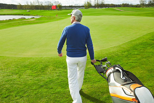 Back view of senior man walking down green field and carrying bag with bunch of golf clubs
