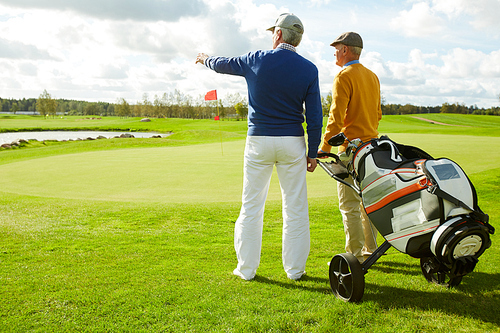 rear view of two friendly men in casualwear discussing new golf area in natural