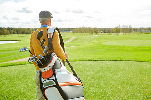 Rear view of mature golfer with sportive bag and bunch of clubs standing in front of vast green play field