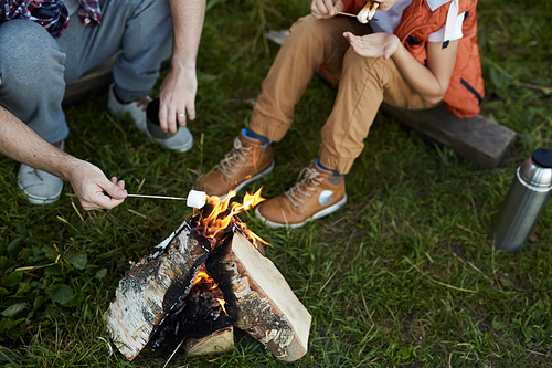 View of man and his son making fried marshmellow on campfire while sitting around it