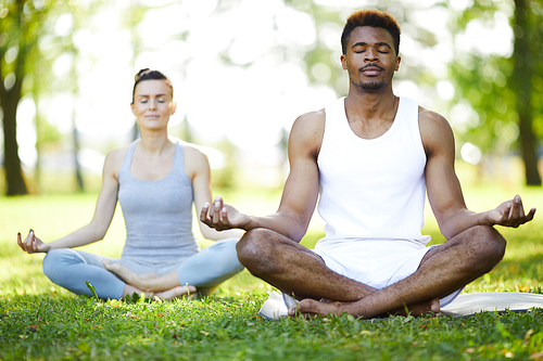 Calm concentrated young multi-ethnic yoga students sitting with crossed legs on grass and touching fingers in mudra while meditating in summer park