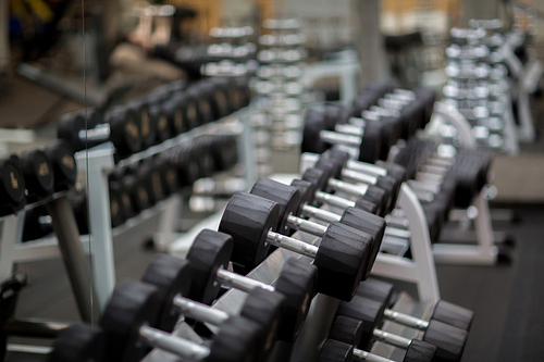 Rows of sports equipment for pumping biceps in contemporary gym