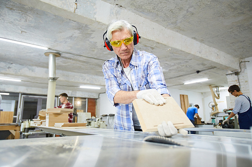 Serious concentrated gray-haired senior carpenter in work gloves standing at table saw desk and making wooden board in workshop of factory