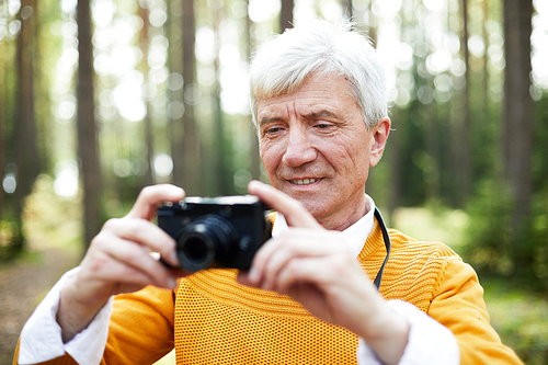 Content handsome senior man with gray hair photographing forest on camera while walking alone