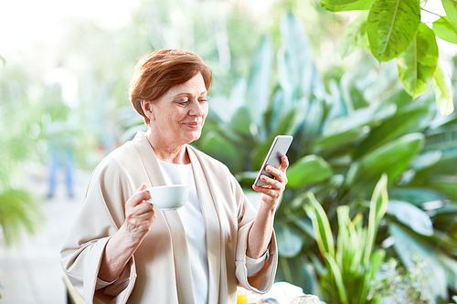 Happy mature woman texting in smartphone while having tea in the morning among green plants in orangery