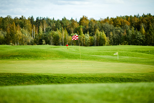 Flags on vast green field for playing golf with forest on background