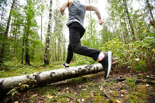 Young active man running through birch log on forest path during morning training