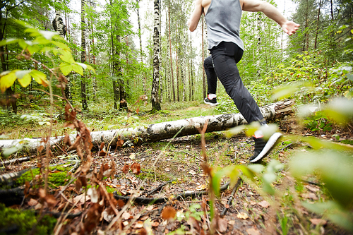 Back view of young sportsman running over log on the forest path while training in the morning