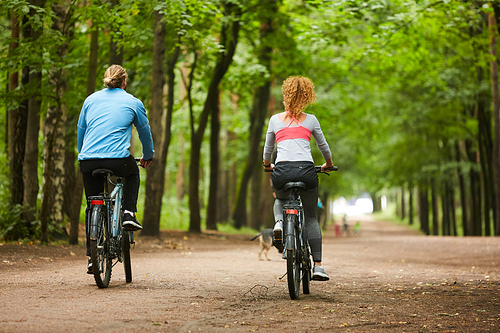 Back view of young active couple sitting on bicycles and riding along long road between green trees