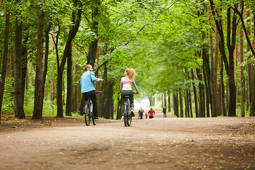 Rear view of young couple in activewear moving on bicycles and chatting on summer day in park with humans walking in front of them