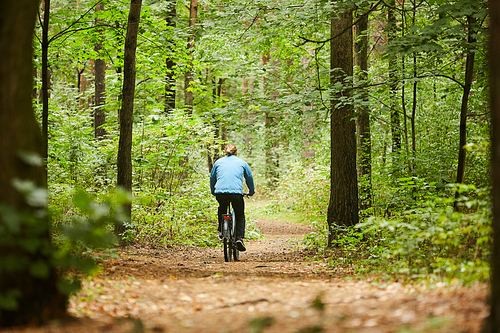 Back view of young active man sitting on bicycle and moving along forest path on summer weekend