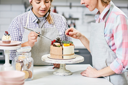 Young Caucasian female confectioners decorating delicious cake with cones, fir twigs and fresh berries in kitchen