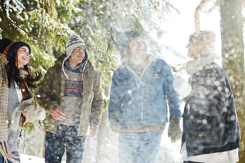 Group of happy young people enjoying walk in beautiful winter forest under snowfall  on  vacation
