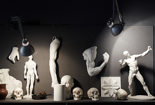Collection of gypsum figures in studio of art