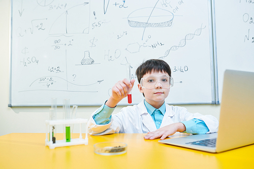 Diligent schoolboy with liquid chemical substance in flask sitting by desk in front of laptop at lesson of chemistry