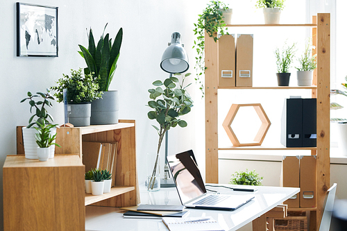 Workplace of businessperson with laptop, lamp and notebooks on desk, green domestic plants on wooden shelves and map in picture frame on wall