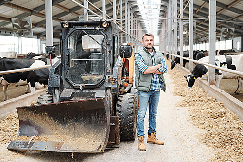 Successful staff of contemporary farmhouse crossing arms by chest while standing by tractor in front of milk cows