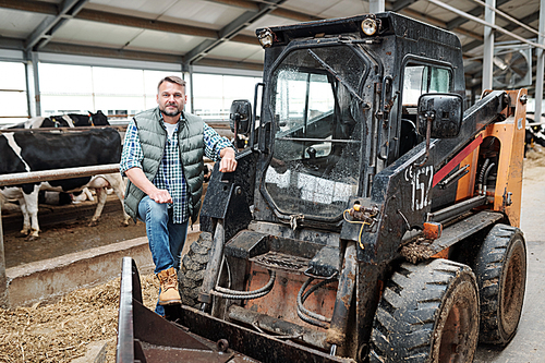 Young worker of farmhouse standing by tractor while cleaning aisle of animal farm between two rows of livestock