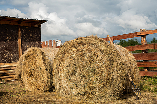 Two huge rolled stacks of fresh hay and hayfork by barn and wooden fence on territory of rancho over cloudy sky