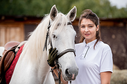 young woman in white polo shirt and black leather gloves touching muzzle of purebred racehorse in front of camera in natural