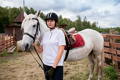 Young sportswoman in equestrian outfit standing by white purebred racehorse in front of camera
