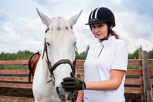 Pretty young female in equestrian helmet and gloves touching nose of white racehorse while chiiling out