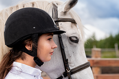 profile of young active woman in equestrian helmet and white purebred horse standing in natural