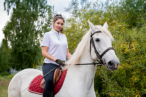Pretty young woman in activewear looking at you while sitting on back of white purebred racehorse during training