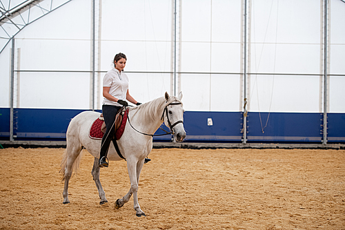 Young sportswoman in skinny jeans and white polo shirt sitting on back of racehorse while training for equestrian event
