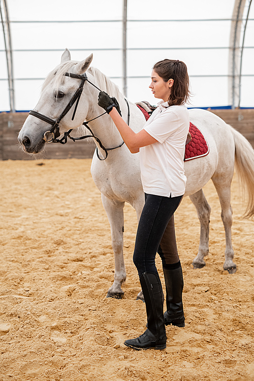 Young female in activewear taking care of white purebred racehorse while standing on sandy arena before training