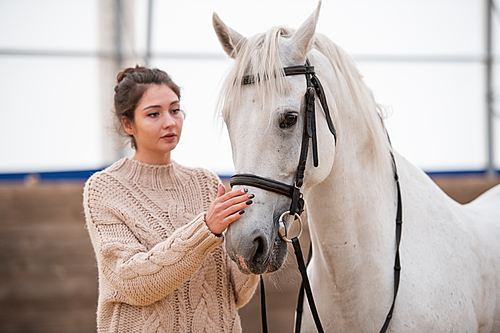 Young brunette woman in white knitted woolen sweater standing by white racehorse and cuddling her muzzle