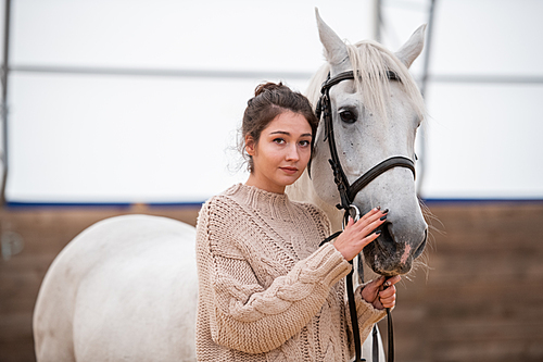 Calm young casual woman in knitted sweater looking at you while standing by white purebred horse in stable