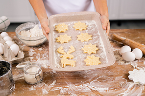 Hands of young housewife holding tray with raw Christmas cookies over table before putting them into oven