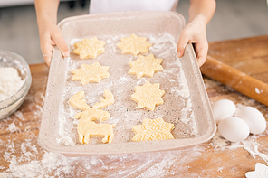 Hands of female holding tray with raw cookies over kitchen table before baking them in the oven